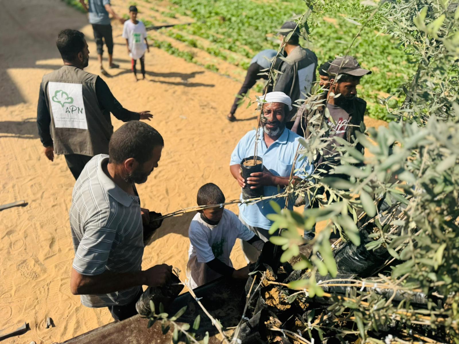 العربية لحماية الطبيعة تبدأ المرحلة الثانية من مشروع 《إحياء مزارع غزة》